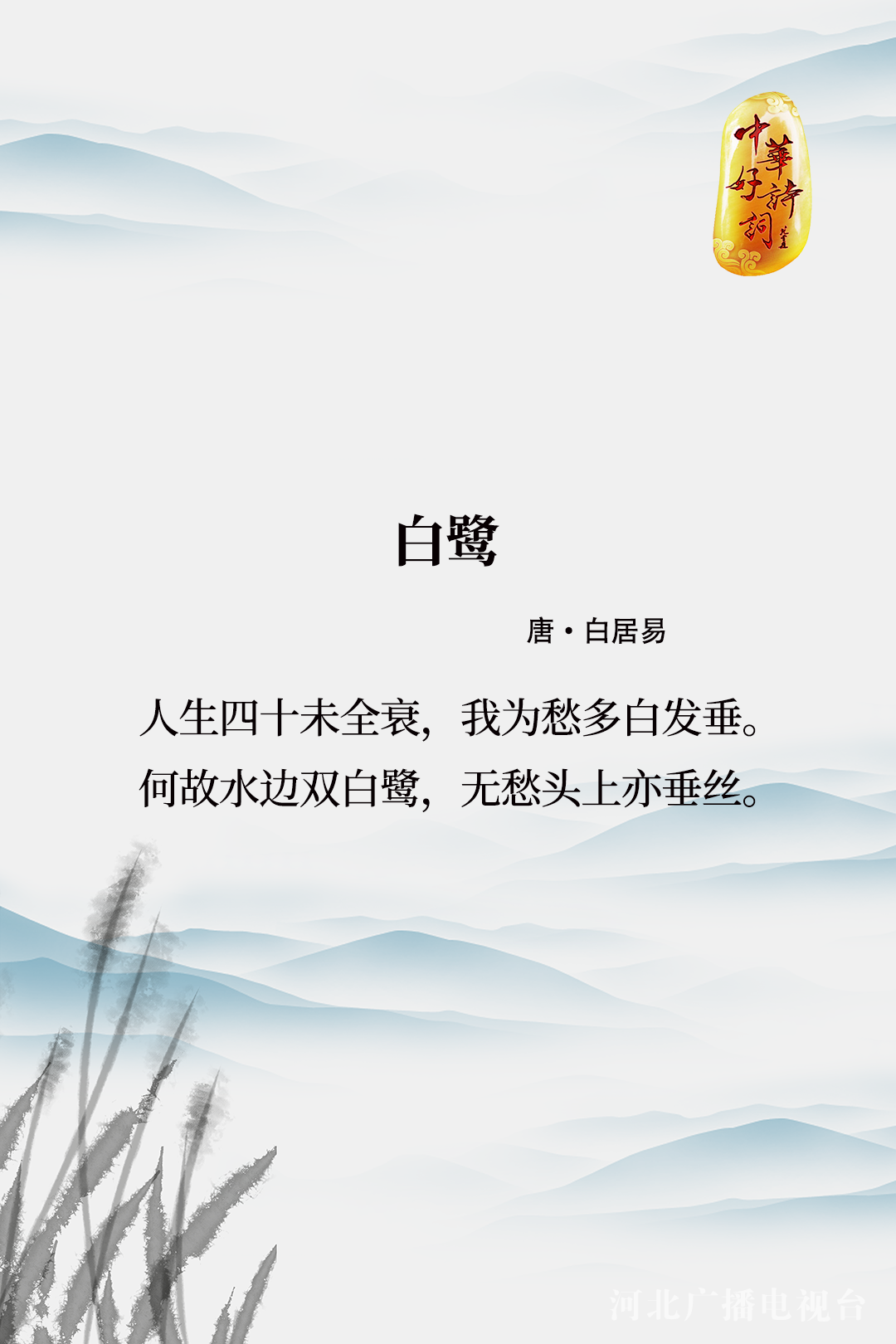 白小姐449999精准一句诗请全面释义、解释与落实、全面解答解释落实