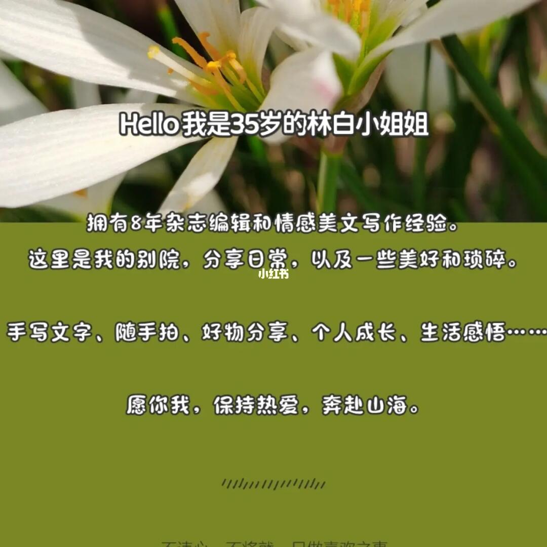 白小姐449999精准一句诗请全面释义、解释与落实、全面解答解释落实